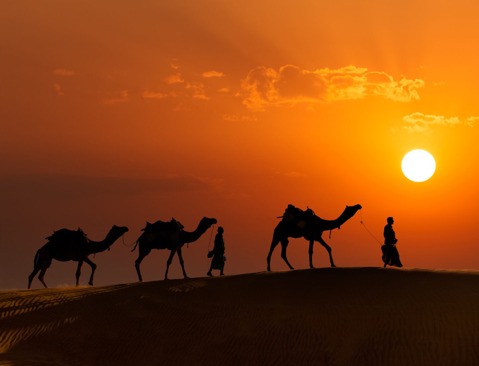 Camel Safari  Jaisalmer